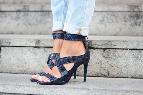 Zara blue snake animal - snake,