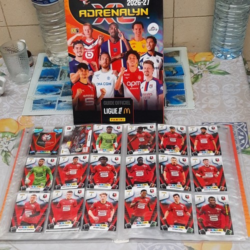 Panini adrenalyn équipe - ,