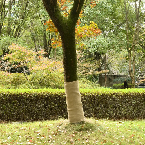 Rouleau jute chemin de - de,