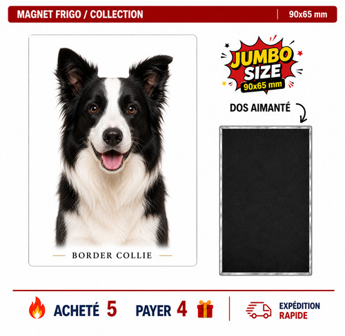 Magnet border collie - magnet, 90x65