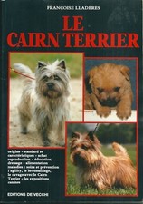 Le cairn terrier chien animal 