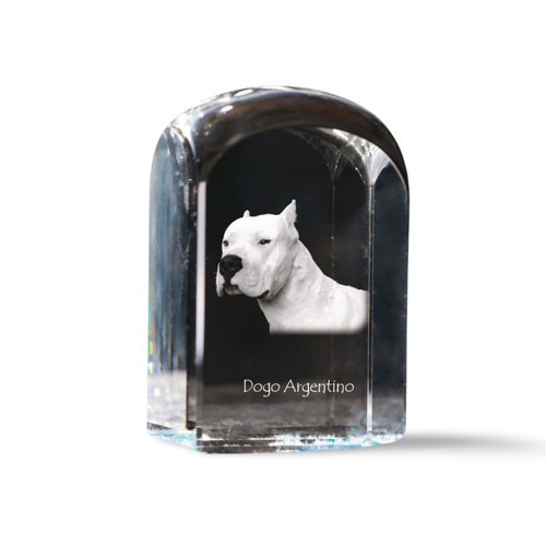 Dogue argentin cristal cachet