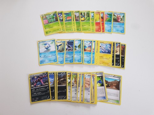 Cartes pokémon noir et - pokémon,
