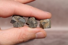 Lot Staurotide Staurolite Minéraux Coray Bretagne Minéralogie Cristal Curiosité