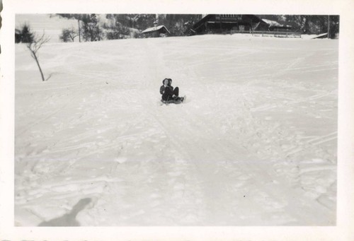 Ancienne photographie 1950 - ancienne, ~1950