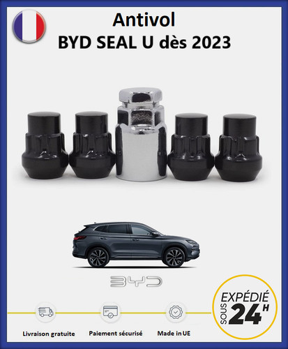 Ecrous antivol roues noir - antivol,