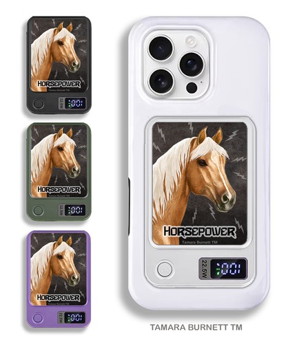 Quarter horse palomino - quarter,