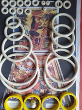 FLIPPER -GOTTLIEB-THE AMAZING