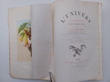 F.A. Pouchet - L'univers les infiniment grands et les infiniment petits 1872