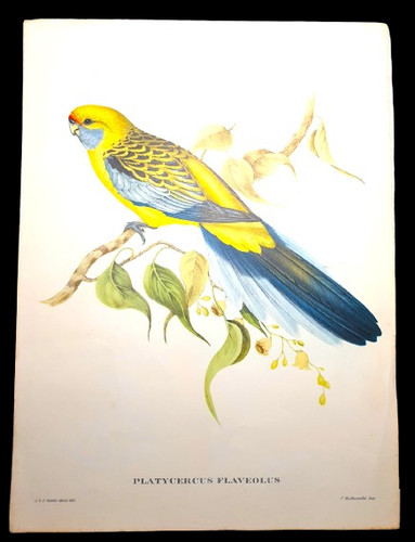 Lithographie ancienne john - lithographie, de