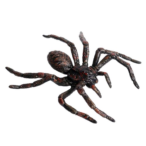 Jouet araignée insecte pour
