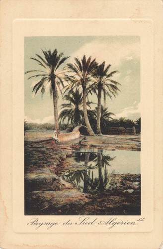 Cpa algerie paysage sud - cpa, du