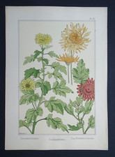 MP VERNEUIL / Eugène Grasset