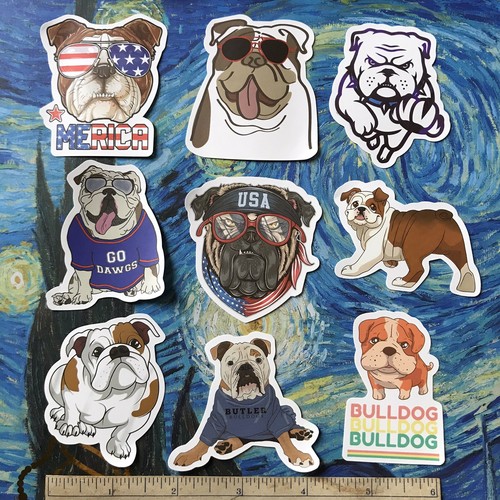 Olde english bulldog - olde,
