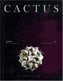 Cactus cerutti vincent - vincent, |