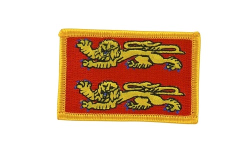 Patch ecusson brode - patch,