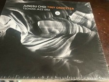 Jungsu Choi Tiny Orkester