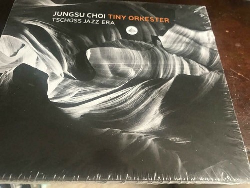 Jungsu choi tiny orkester - choi,