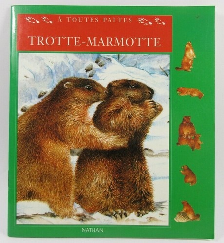 Livre jeunesse trotte marmotte - livre,