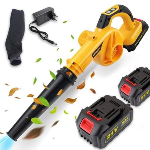 Aspirateur souffleur sans fil - aspirateur,