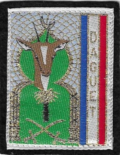 Insigne tissu patch militaire - tissu,,