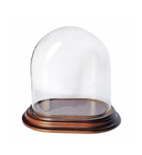 Cloche verre ovale cm - en, 27