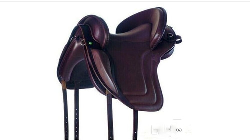 Selle espagnole sans - , arbres