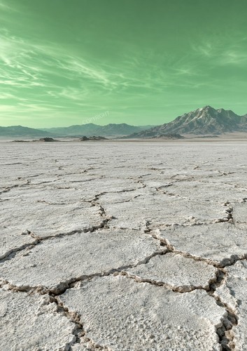 Art print desert - print,