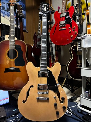 Guitare semi acoustique grote - guitare,