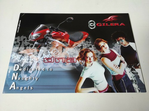 Prospectus catalogue brochure - catalogue,