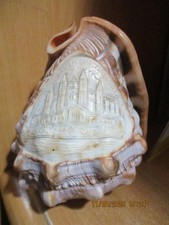 Coquillage gravé sculpté en