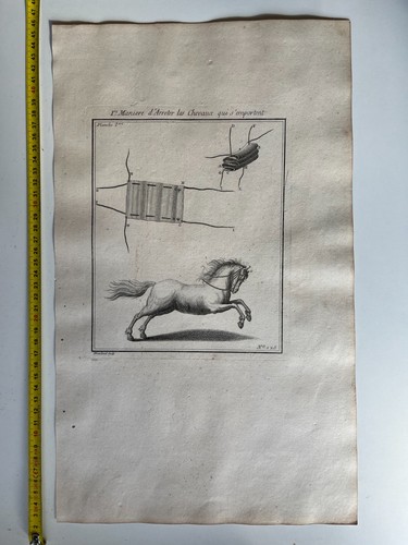 Chevaux machines et - -,