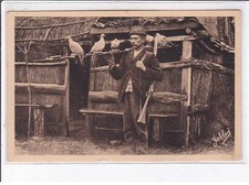 LANDES: chasseur de palombes