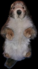  DDE / Peluche Marmotte Réaliste  Hansa Création  32 cm Ttbe Anima