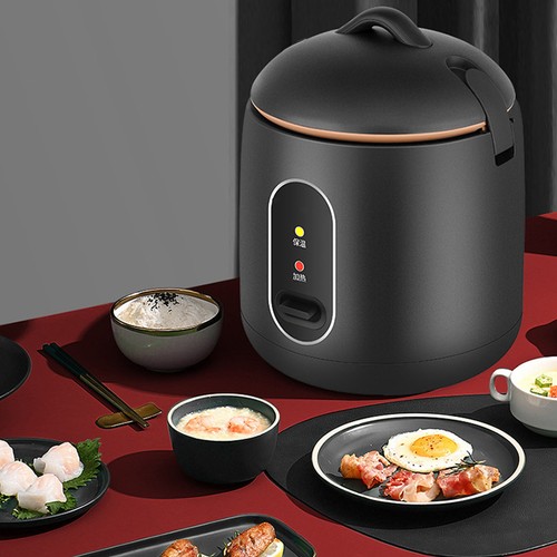 Mini rice cooker légère et - 1,