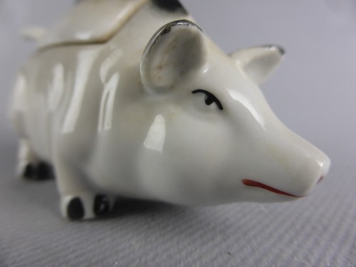 Joli petit moutardier - petit, cochon
