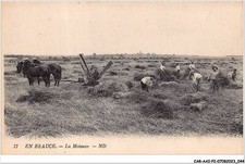 CAR-AAIP2-28-0120 - EN BEAUCE - La moisson - Agriculture