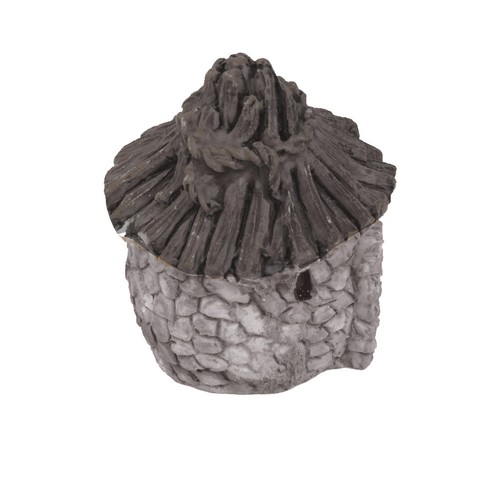 Aquarium fish tank - fish,