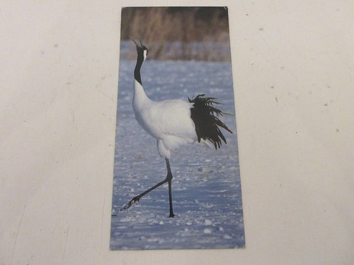 Fiche 469 photo animaux oiseau - 469,