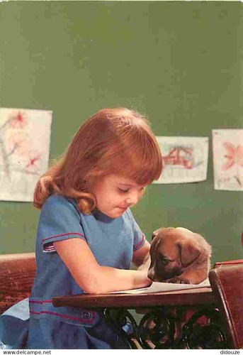 Carte postale animaux - postale,