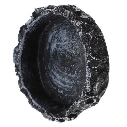 Gamelle eau pour tortue - gamelle, d'eau