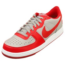 Nike Terminator Low Homme Gris