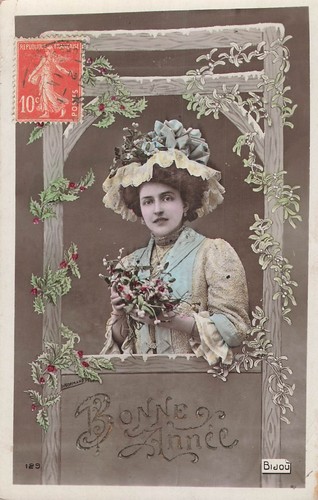Bonne annee cadre - bois, gui