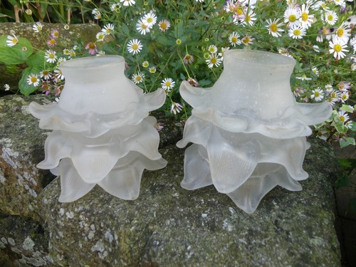 Tulipes lustre ou - tulipes, de