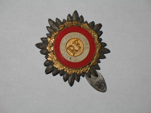 Insigne broche conseil - insigne,