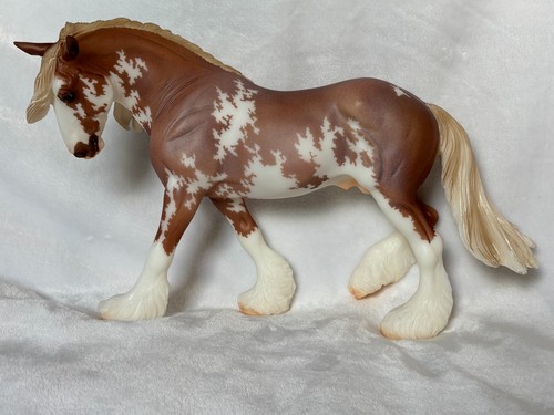 Heath breyer 2024 - heath,