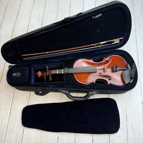 Franz hoffmann amadeus 2 - franz,