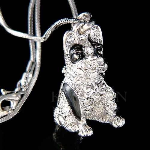 Bouledogue américain chien - bouledogue,