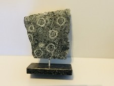 DIORITE ORBICULAIRE Ste Lucie