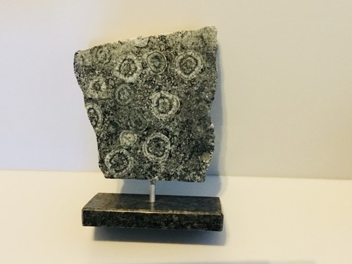Diorite orbiculaire ste lucie - orbiculaire,